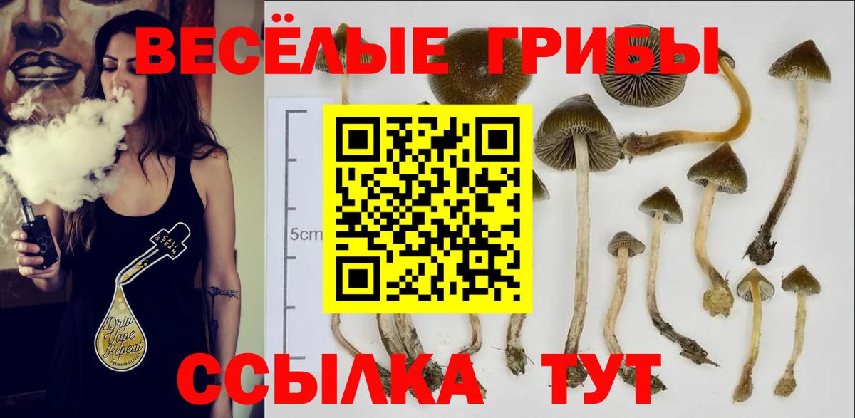 Галлюциногенные грибы Cubensis  Псилоцибиновые грибы мицелий  Курчатов  Вход с VPN 
